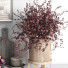 Декор Kitchen Accessories 026 - moyarahmadi1