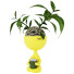 Potted Plant Kelly Flowers Girl 2 by Idea - 3Dpredator