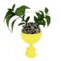 Potted Plant Kelly Flowers Girl 2 by Idea - 3Dpredator