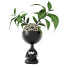 Potted Plant Kelly Flowers Girl 2 by Idea - 3Dpredator