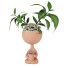 Potted Plant Kelly Flowers Girl 2 by Idea - 3Dpredator