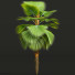 Palmy Pritchardia Pacifica Small Garden Decorative - Pandora-land