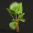 Palmy Pritchardia Pacifica Small Garden Decorative - Pandora-land