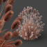 L'herbe HQ Plantes Pennisetum Alopecuroides Lampenputzergras Fontaine Hameln Version 04 - Pandora-land