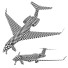 Літак Gulfstream Aerospace Corporation G800 - Kudim