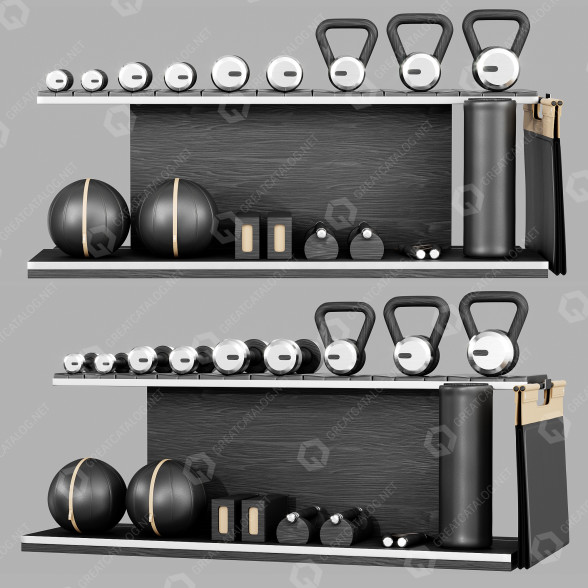 Аксесуари для фітнесу Complementary Set 3D модель