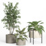 Potted Plants Set 52 Concrete and Metal Pot - nr.asgari