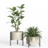 Potted Plants Set 52 Concrete and Metal Pot - nr.asgari