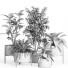 Potted Plants Set 52 Concrete and Metal Pot - nr.asgari