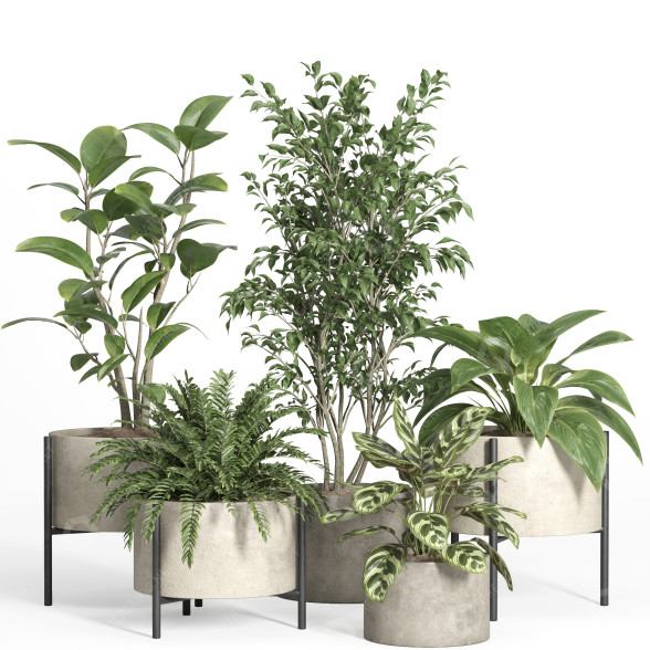 Potted Plants Set 52 Concrete and Metal Pot 3D model
