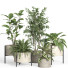 Potted Plants Set 52 Concrete and Metal Pot - nr.asgari