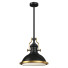 Lampa wisząca Elegant Lighting Eamon in Matte Black - Ginex