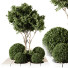 Drzewa i krzewy Outdoor Plant 233 - uniquevry