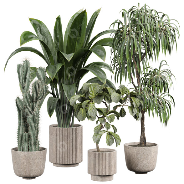 Plantas en macetas Plantas de interior 355 Modelo 3D