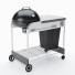 Grill Weber Performer Premium 22 - sasname