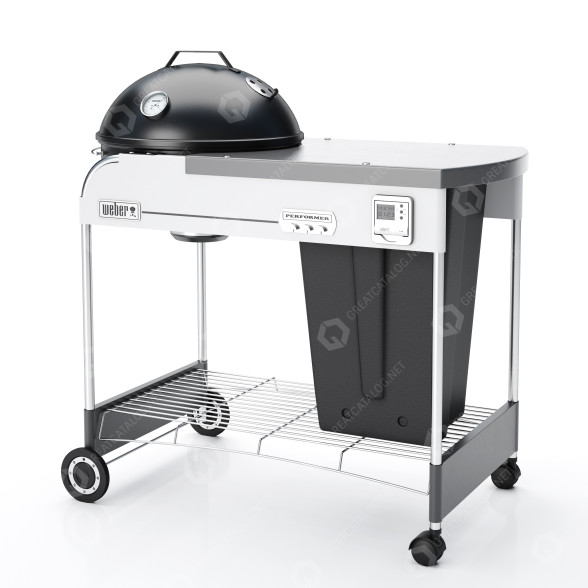Grill Weber Performer Premium 22 model 3D