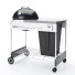 Grill Weber Performer Premium 22 - sasname