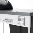 Grill Weber Performer Premium 22 - sasname