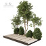 Arboles y arbustos Planta en exterior 234 - uniquevry