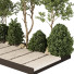 Arboles y arbustos Planta en exterior 234 - uniquevry