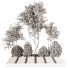 Arboles y arbustos Planta en exterior 234 - uniquevry