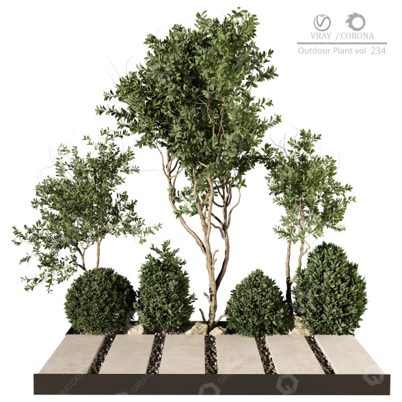 Arboles y arbustos Planta en exterior 234 Modelo 3D