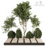 Arboles y arbustos Planta en exterior 234 - uniquevry