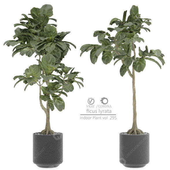 Plantas en macetas Plantas de interior 295 Modelo 3D