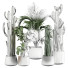 Plantas en macetas Plantas de interior 354 - uniquevry