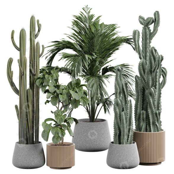 Plantas en macetas Plantas de interior 354 Modelo 3D
