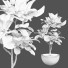 Planta en maceta Plantas de interior 296 - uniquevry