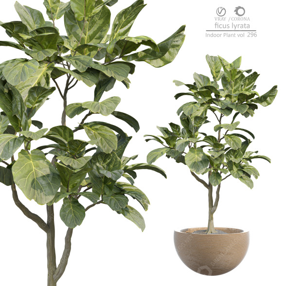 Planta en maceta Plantas de interior 296 Modelo 3D
