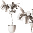 Planta en maceta Plantas de interior 297 - uniquevry