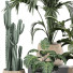 Plantes en pot Plantes d'intérieur 353 - uniquevry