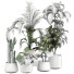 Plantes en pot Plantes d'intérieur 353 - uniquevry
