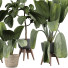 Plantas en macetas Plantas de interior 351 - uniquevry
