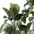 Plantas en macetas Plantas de interior 351 - uniquevry