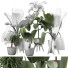 Plantas en macetas Plantas de interior 351 - uniquevry