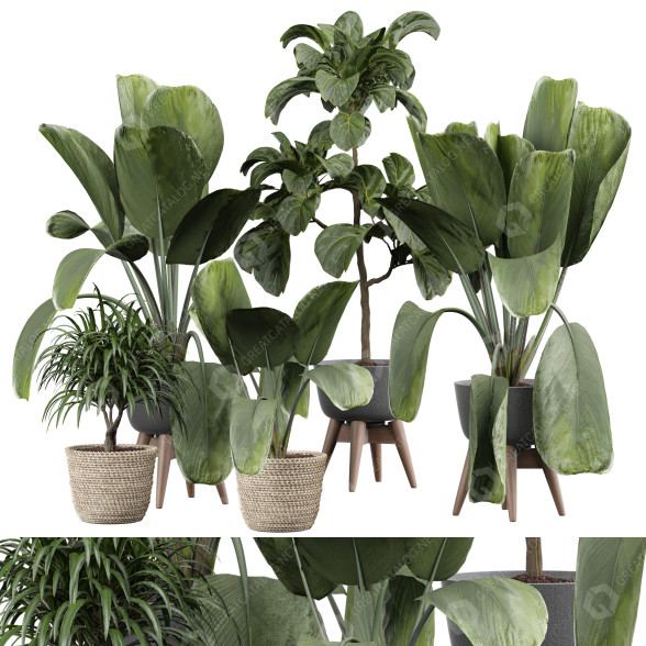 Plantas en macetas Plantas de interior 351 Modelo 3D