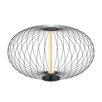 Lucide Carbony 3D модель