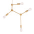 Chandelier Nuevo Pratt - SH.X