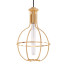 Підвісний світильник Hudson Valley Lighting Colebrook Round - SH.X
