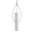 Подвесной светильник Troy Lighting Raef 1Lt - SH.X