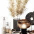 Decoración Set 001 - babarikograf