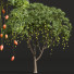 Árboles Mangifera indica mango - Pandora-land