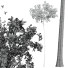 Drzewa New Plant High Detail Populus Tremuloides02 - Pandora-land