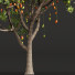 Arbre Nouvelle plante haute précision mangue 02 - Pandora-land