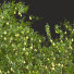 Árboles Nueva planta de alta definición pera verde - Pandora-land