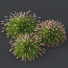 Grass Fountain Hameln Version 03 - Pandora-land