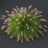 Grass Fountain Hameln Version 03 - Pandora-land